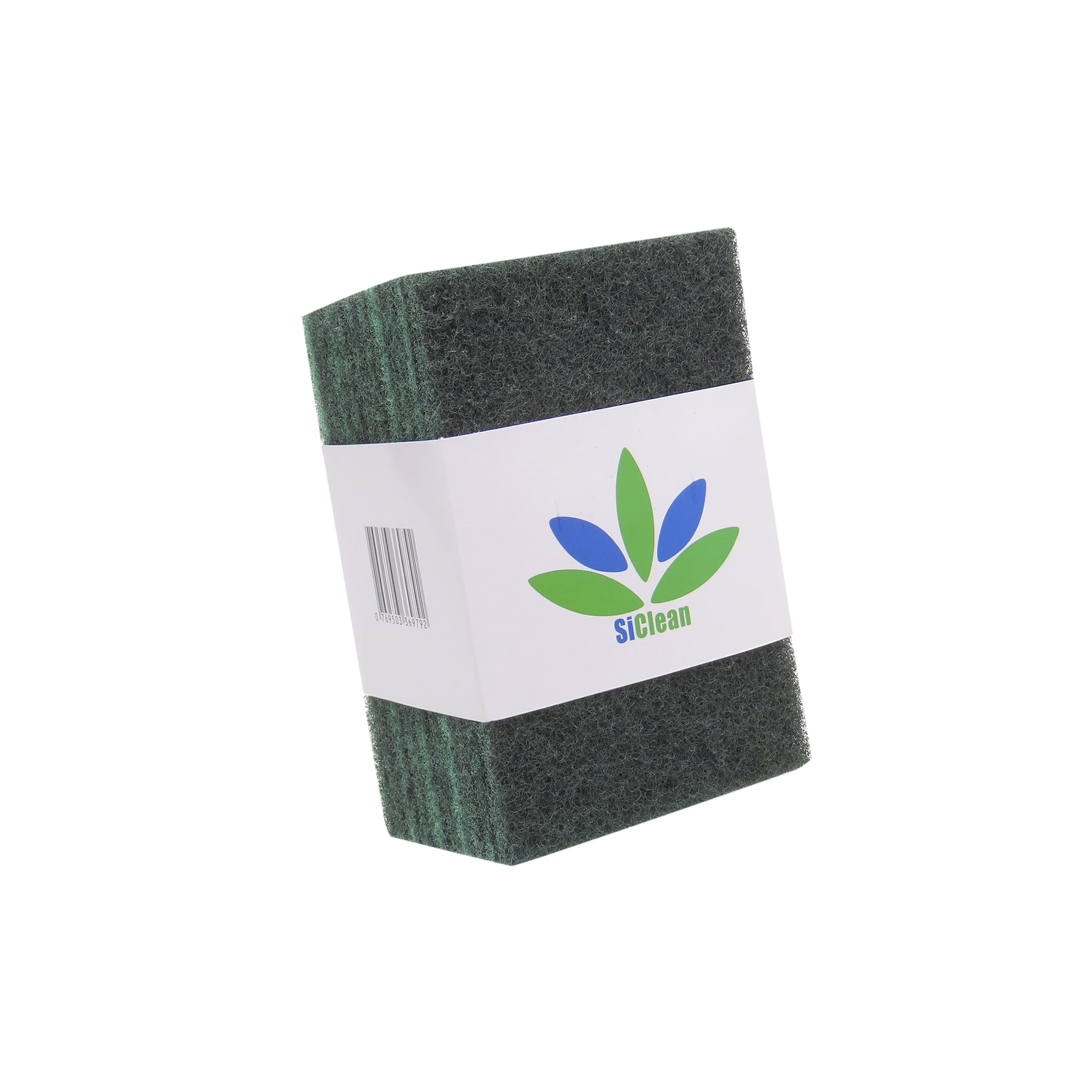 Brillo Verde 6x4 (10 Und)